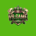 V9 Game