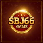 SBJ66 Game