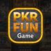PKR Fun Game